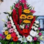 @fidelaramirez41 - Instagram