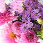Fidelia Hernandez - Facebook