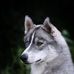 Vitaly Schmidt - Facebook