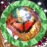 Fidelma Dolan - @fidelmadolan - Instagram