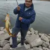 Fidencio Herrera - @fidenciohernande210 - TikTok