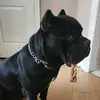 Fidencio Herrera - @fidencio.herrera6 - TikTok