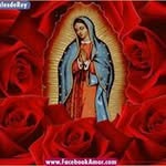 @fidencio.sanchez - Instagram