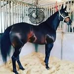 Fidencio Sanchez - @fidencio.sanchez.7370 - Instagram