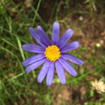 Dave Corker - @field_to_fork_catering - Instagram