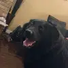 Colin.Fielding - @colin.fielding - TikTok