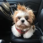 Sophie - @fifi_jackson08 - Instagram