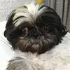Fifi__Jones - @fifi__jones - TikTok