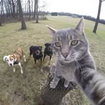 fofoca - @webbb.fifi - Instagram