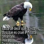 Fil Sanchez - @fil.sanchez.338 - Instagram
