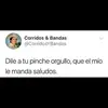 File Sanchez - @filesanchez - TikTok