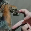 FILÓ SANTOS - @fil.santos96 - TikTok