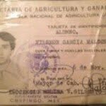 Filemon Garcia - @filemongarcia - Instagram