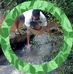 Filemon Lopez - Facebook