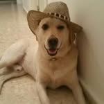 Fili Lopez - @fili8184 - Instagram