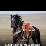 FiLi Lopez - @fililopez11 - Instagram