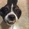 fililopez_ - @fililopez_ - TikTok