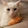 филип човић - @covicfilip - TikTok