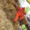 filipcicovic - @filipcicovic - TikTok