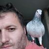 Filipe lopes - @filipelopes917 - TikTok
