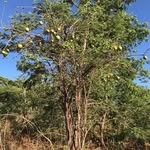 Filomena Lopes - @filomenalopes76 - Instagram