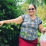 filomena marques maciel - @filomenamarquesmaciel - Instagram