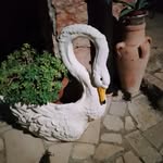 Filomena Perrone - @perrone9982 - Instagram