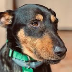 @filomenaperrone.fp - Instagram
