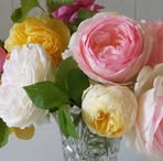 Filomena Ranallo - Facebook