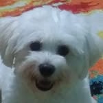 Gloria Filomena Thomas - @gg_duff - Instagram
