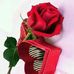 Filsan Ali - Facebook