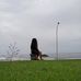 Fina Penaia - Facebook