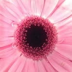 Finbar McGrath - Facebook