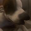 findlaygardiner - @findlay.0 - TikTok