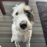 Murray Findlay - @findlay_murray - Instagram
