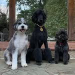 Nevada Fine Smith - @mama.fine - Instagram