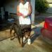 Avery Finnie - Facebook