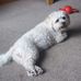 Finlay Wallace - Facebook