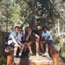 Finlay Wallace - Facebook