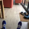 finlaywallace1234 - @finlaywallace1234 - TikTok
