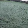 Finley Wallace - @finley.wallace92 - TikTok