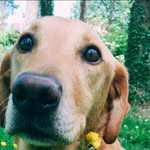 Finley Edwards - @finleyedwards763 - Instagram