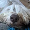 Finley - @finleyedwards42 - TikTok