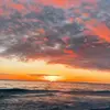 appleuser72846283 - @finley_hill15 - TikTok
