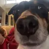 finley hill - @finleyhill - TikTok