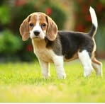 Finley Lyons - Facebook