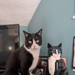 Finley Shaw - Facebook
