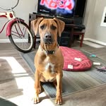 Shawn Finley - @finley_shawn - Instagram