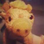 finley thomas - @finleythomas97 - Instagram