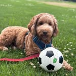 Finley Thomas - @finley_thomas809 - Instagram